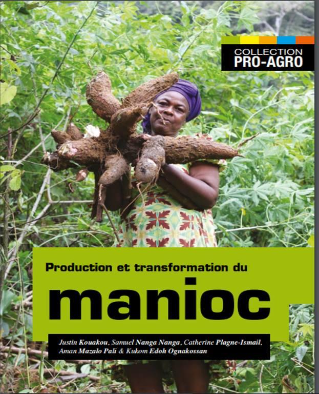 business plan transformation du manioc